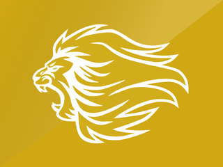 Chennai Super Kings