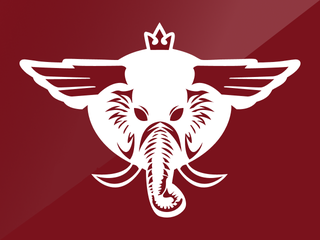 Lucknow Super Giants